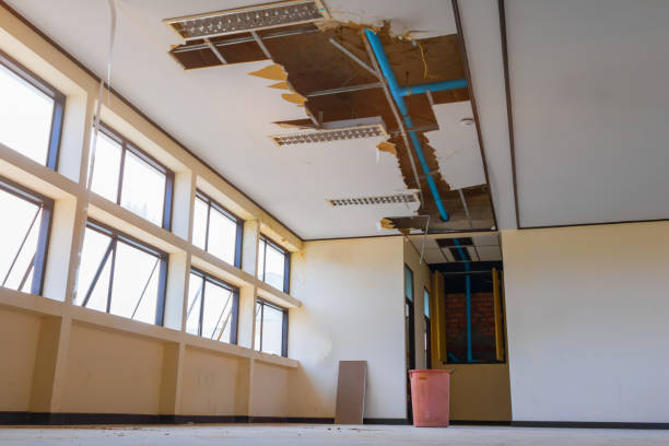 Best Sewage cleanup and water damage restoration  in Harveys Lake, PA