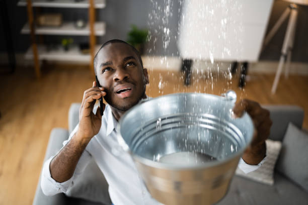 Best Flood damage cleanup  in Harveys Lake, PA