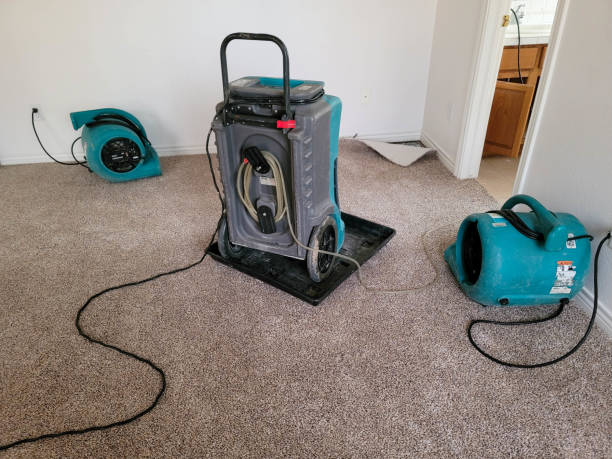Best Flood restoration services  in Harveys Lake, PA