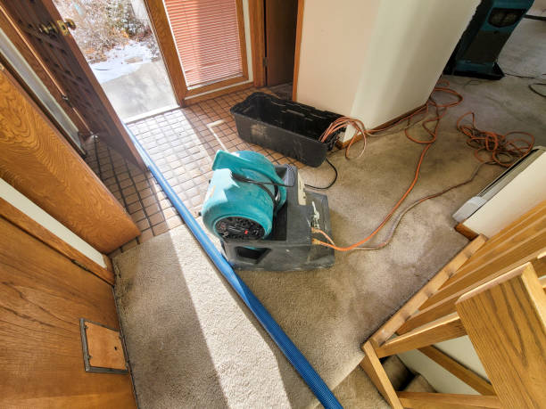 Best Mold removal after water damage  in Harveys Lake, PA