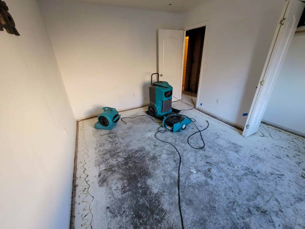 Water damage restoration experts in Harveys Lake, PA