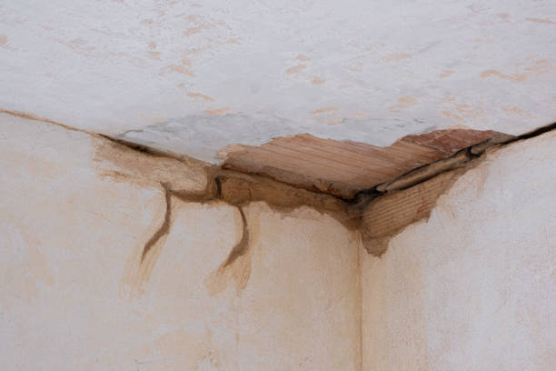Best Flood restoration services  in Harveys Lake, PA