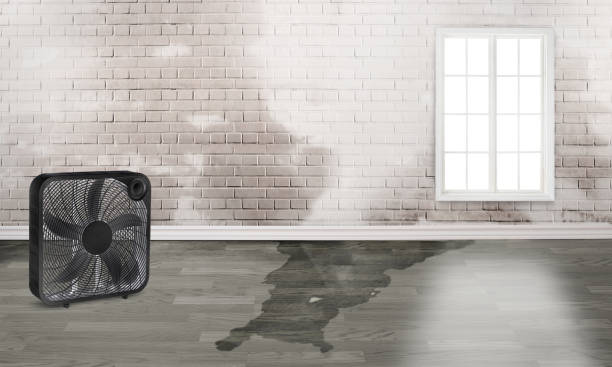 Best 24/7 water damage repair  in Harveys Lake, PA