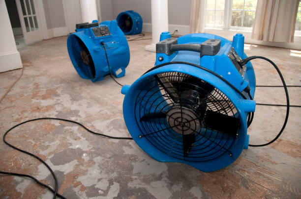 Best Water damage cleanup near me  in Harveys Lake, PA