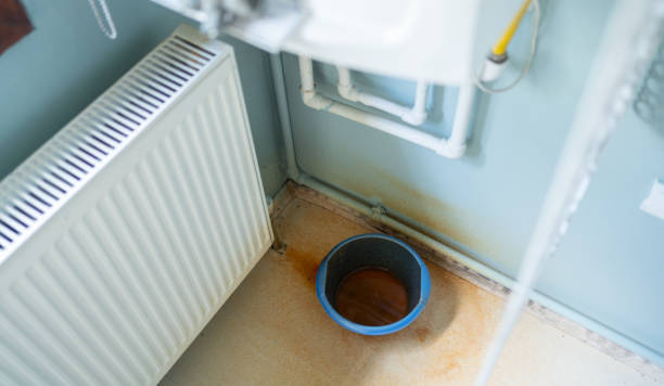 Best Water damage cleanup near me  in Harveys Lake, PA