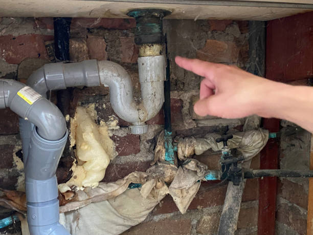 Best Carpet water damage restoration  in Harveys Lake, PA