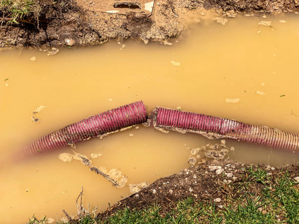 Best Water damage restoration specialists  in Harveys Lake, PA