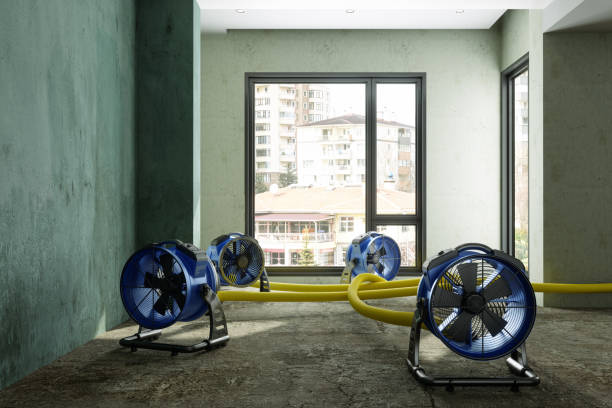 Best Water damage cleanup near me  in Harveys Lake, PA