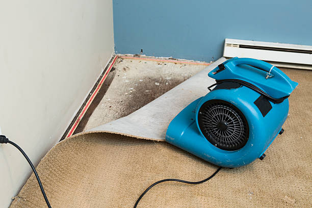 Best Flooded house restoration  in Harveys Lake, PA